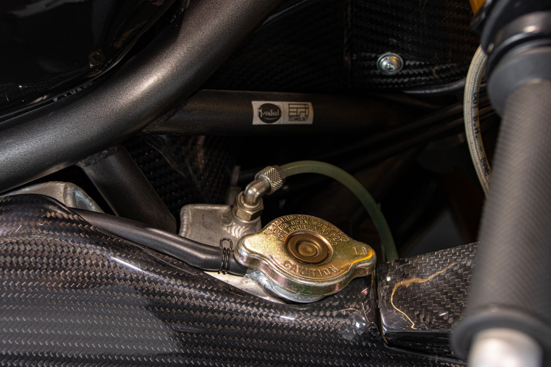 2005 MONDIAL PIEGA CARBONIO