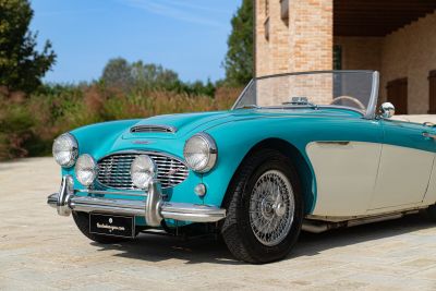1957 AUSTIN HEALEY 100/6 BN4