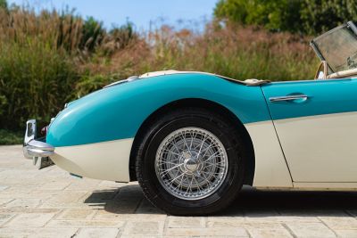 1957 AUSTIN HEALEY 100/6 BN4