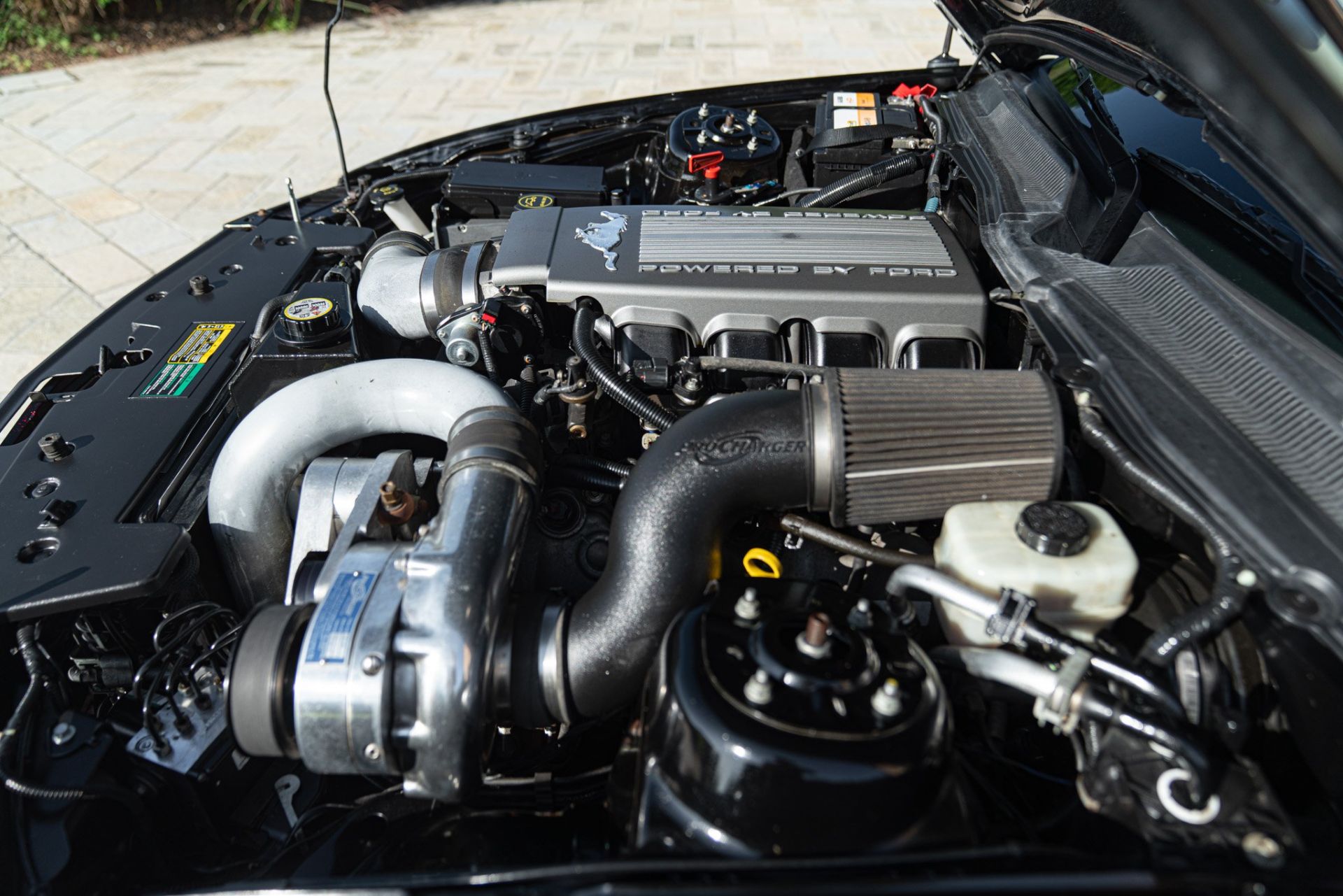 2007 FORD MUSTANG CERVINI C-500
