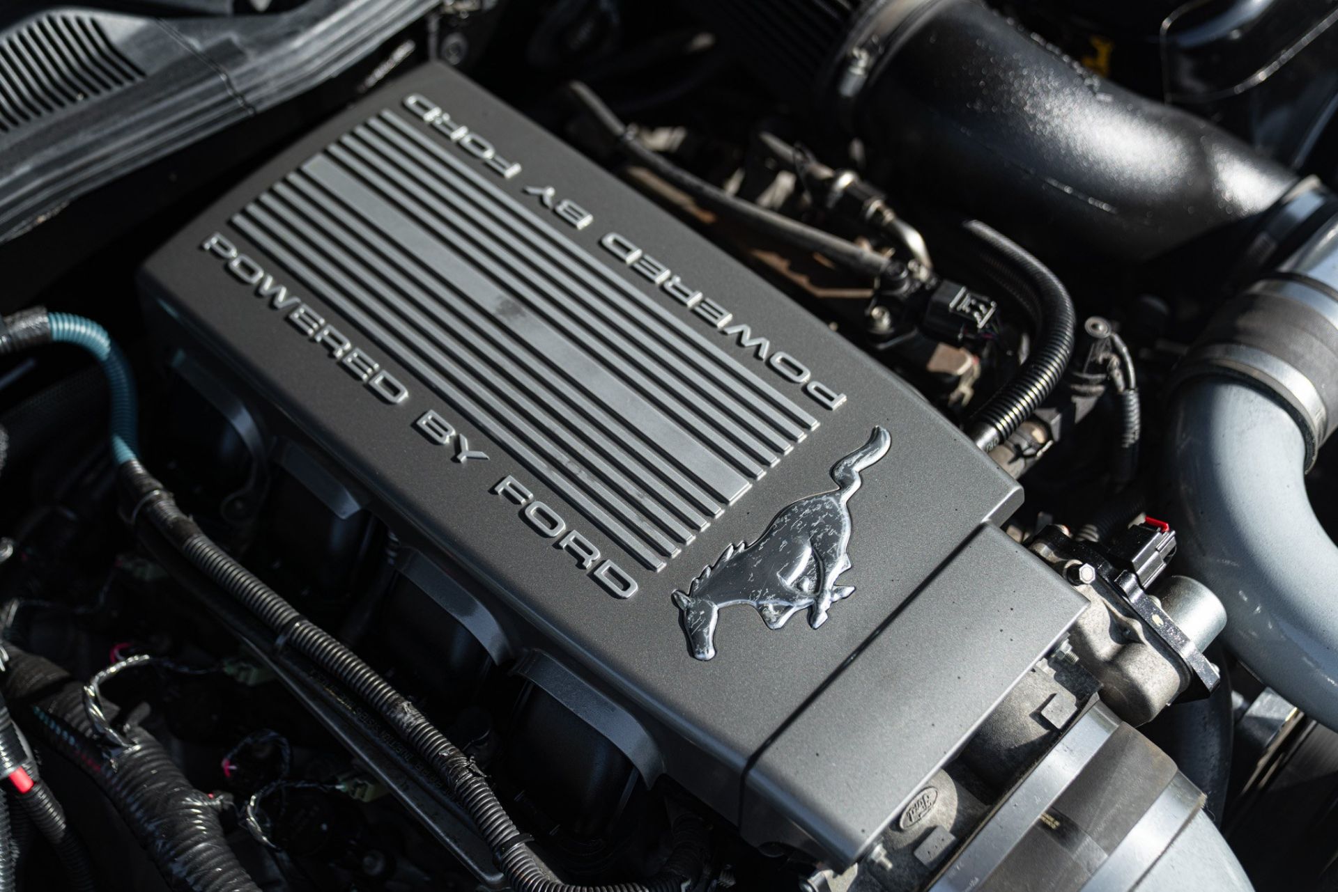 2007 FORD MUSTANG CERVINI C-500