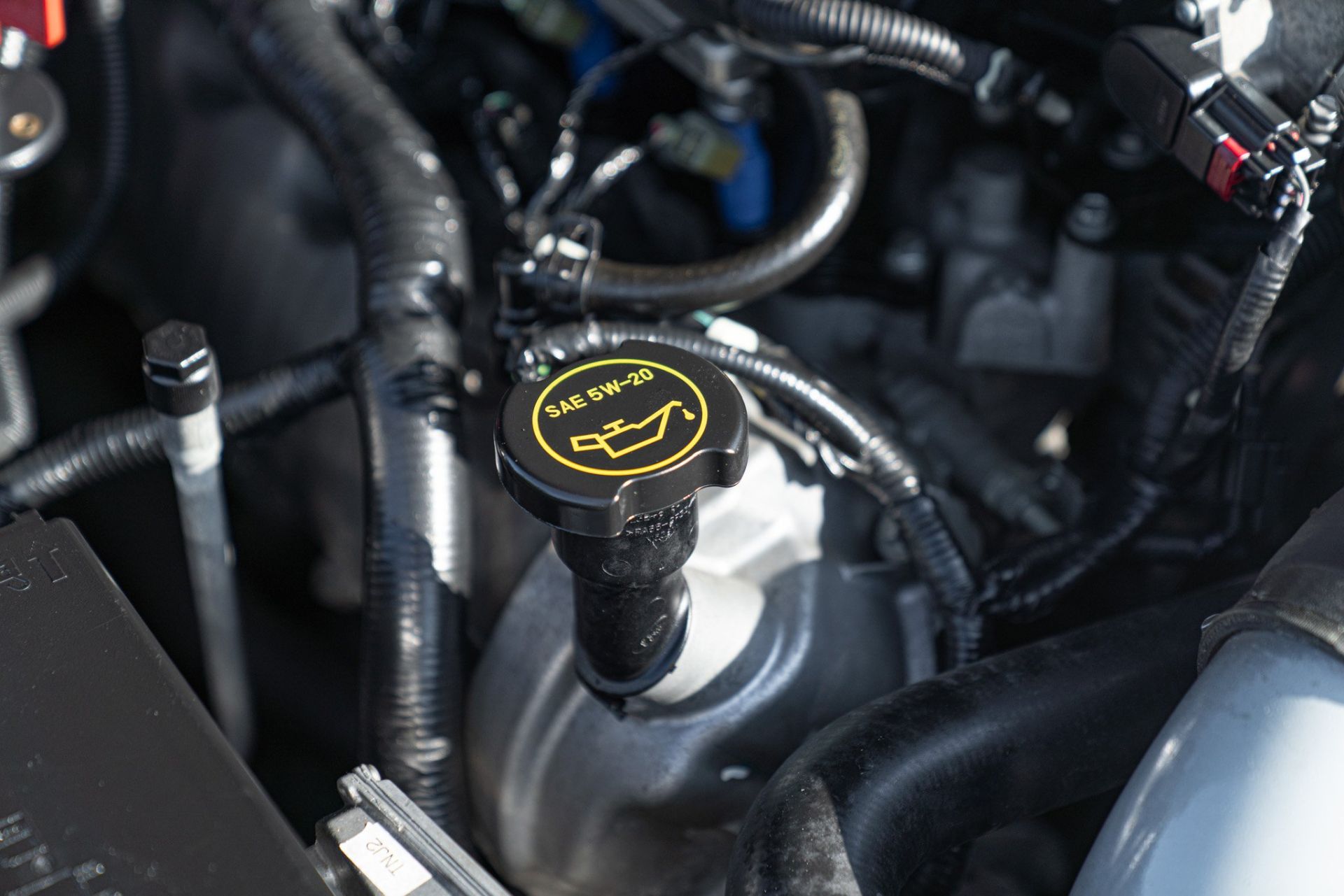 2007 FORD MUSTANG CERVINI C-500