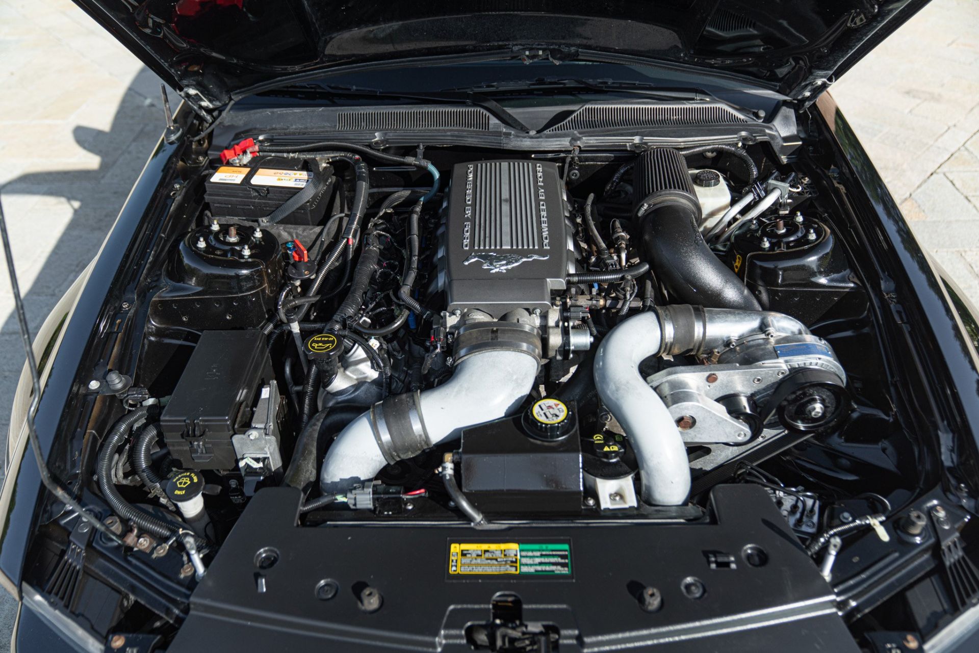 2007 FORD MUSTANG CERVINI C-500