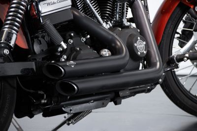 2010 HARLEY DAVIDSON DYNA WYDE GLIDE