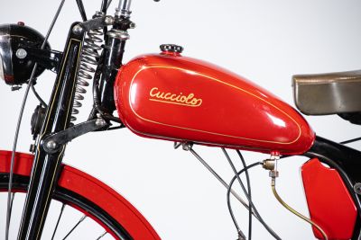 1954 DUCATI CUCCIOLO